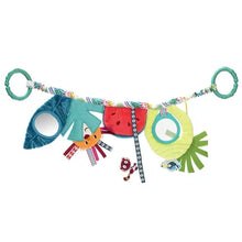 Charger l'image dans la galerie, George en promenade