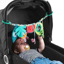 Charger l'image dans la galerie, George en promenade