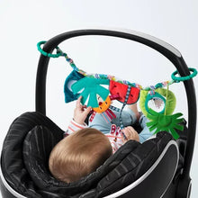 Charger l'image dans la galerie, George en promenade