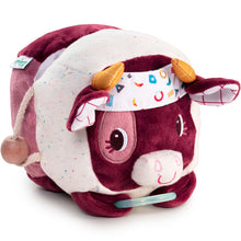 Charger l'image dans la galerie, Rosalie vaches découvertes